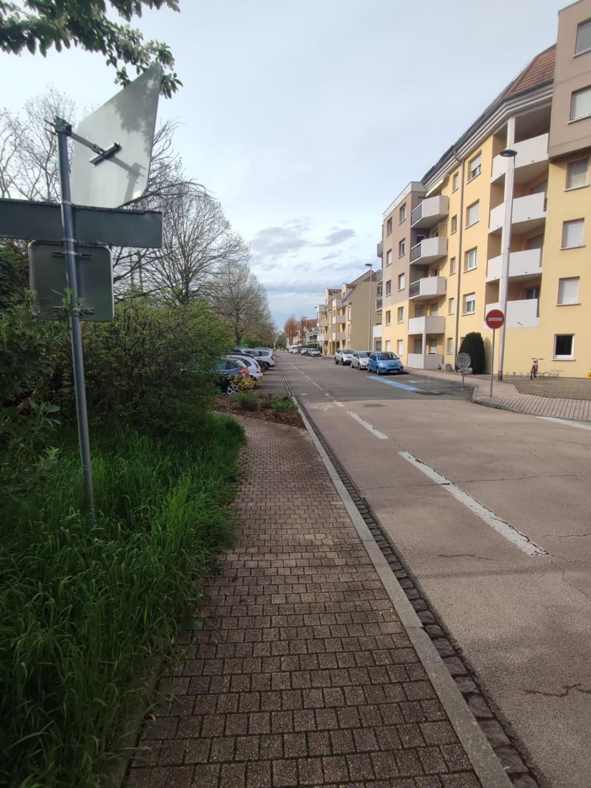 Douillet-Kanamappart-Euroairport Leilighet Saint-Louis  Eksteriør bilde