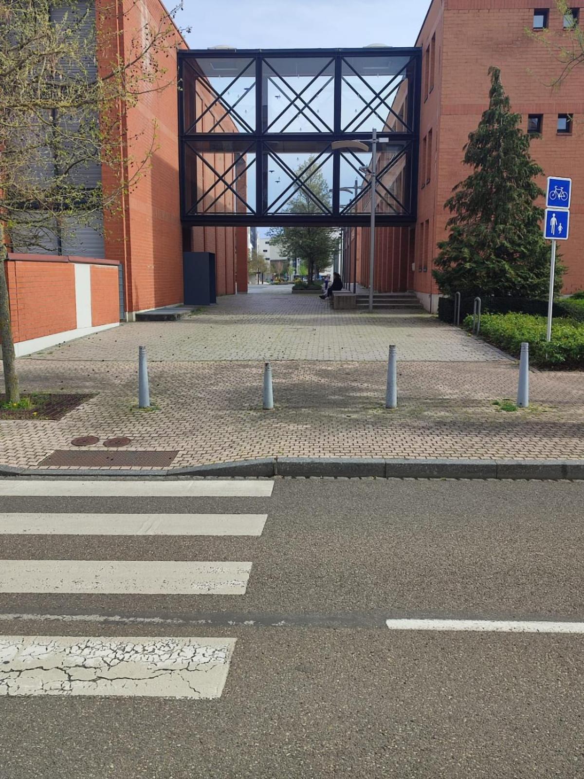 Douillet-Kanamappart-Euroairport Leilighet Saint-Louis  Eksteriør bilde